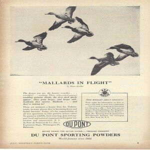 1949 DuPont Sporting Powders Mallards In Flight Vintage Magazine Print Ad/Poster